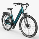 Fiido C11 Leichtes Urban E-Bike