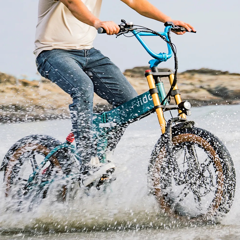 Fiido M1 Pro Fatbike E-Bike