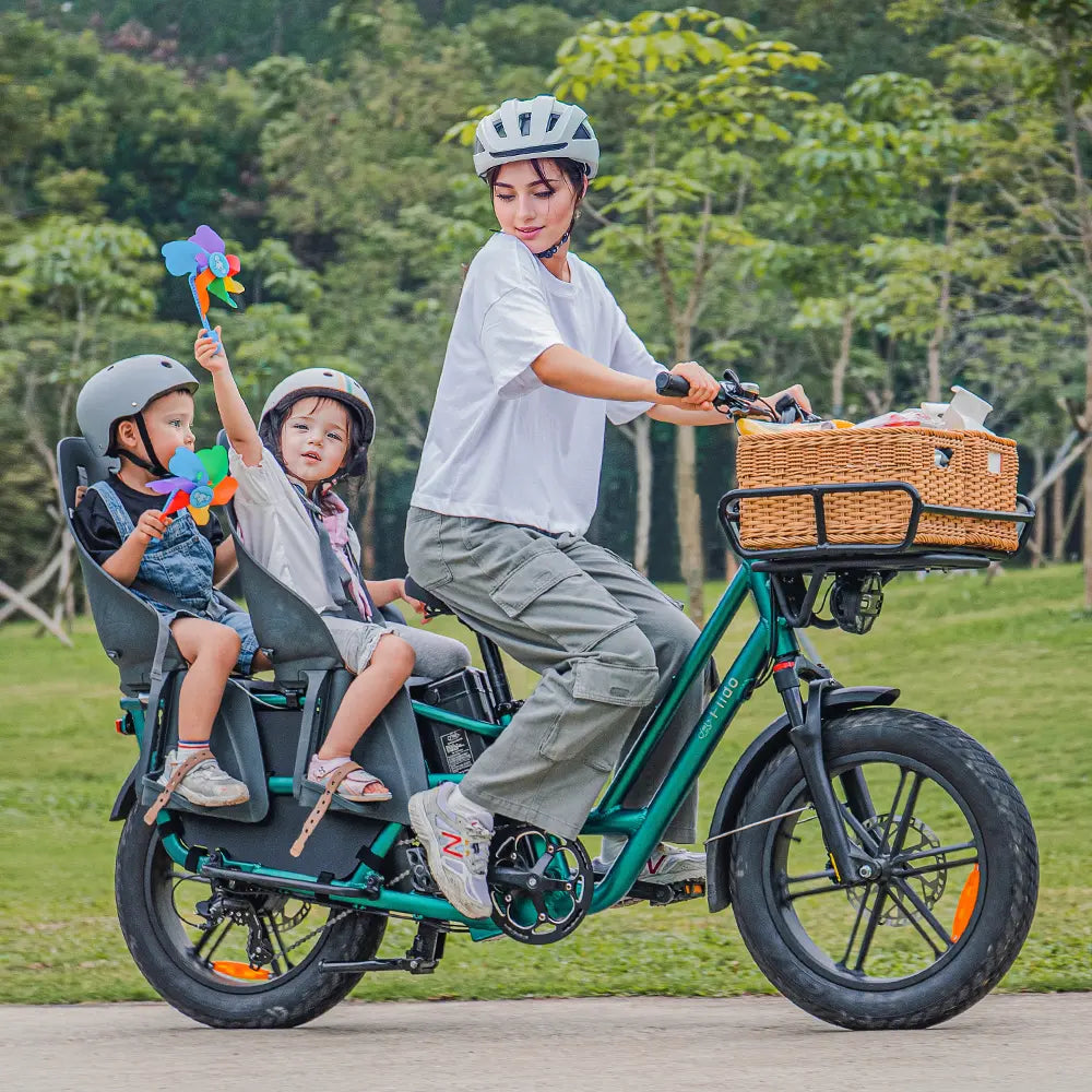 longtail fahrrad e-bike FIido T2