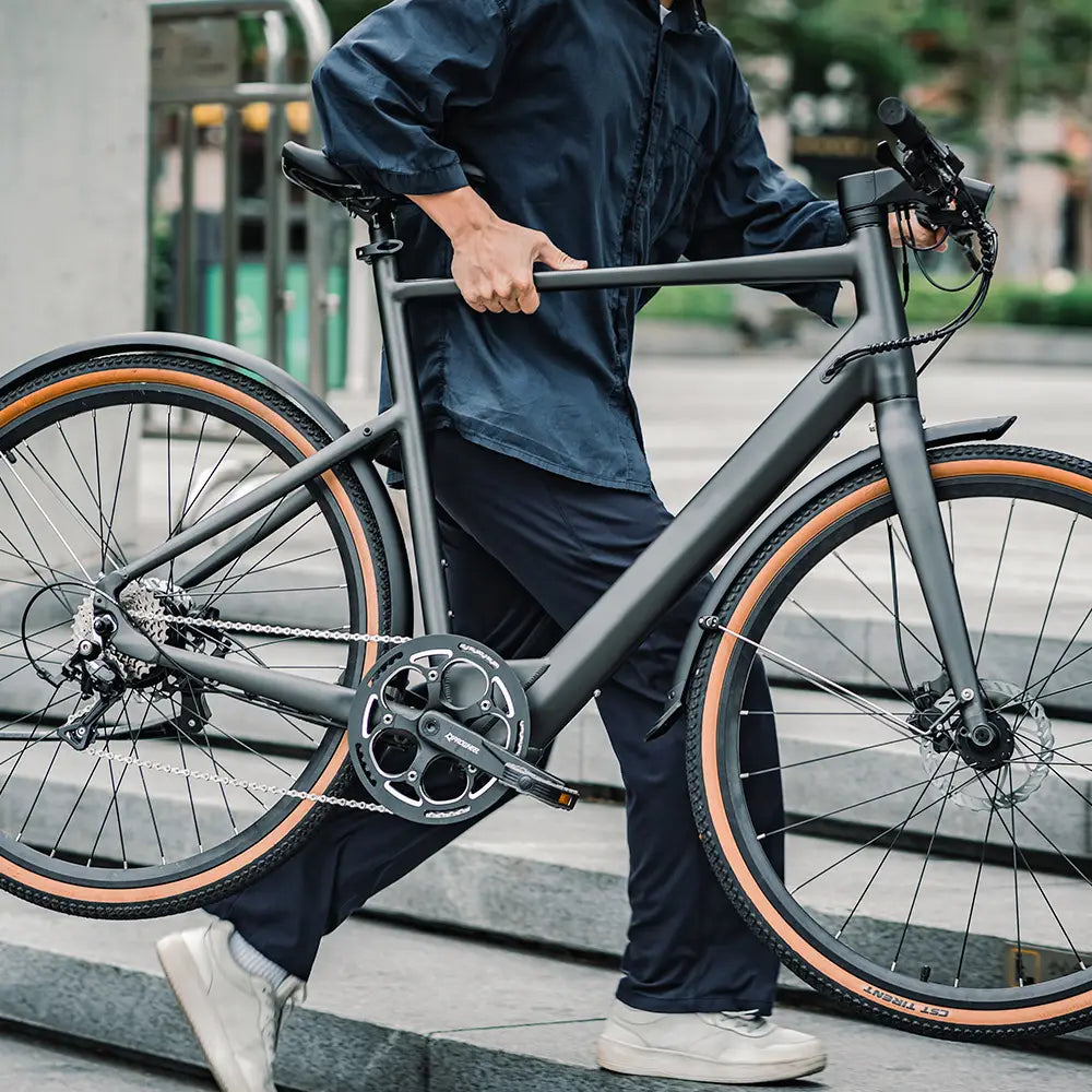 gravel e bike mit federung Fiido C21 – Leichtes Gravel-Tiefeinsteiger-Urban-E-Bike