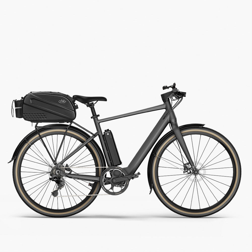 Fiido E-Gravel C21 E-Bike mit Tasche