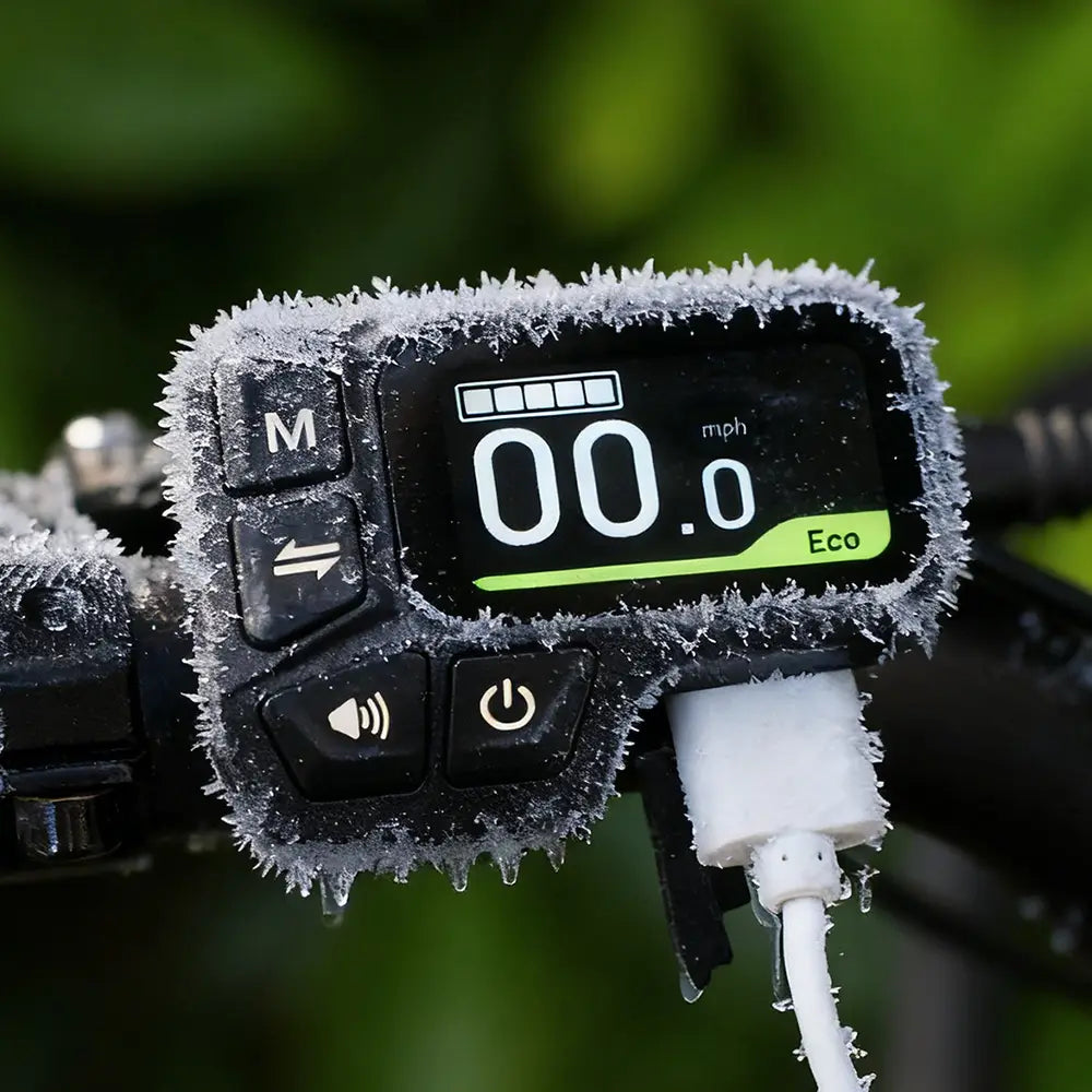 Fiido C11 Leichtes Urban E-Bike