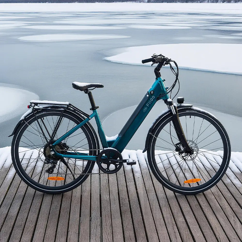 Fiido C11 Leichtes Urban E-Bike