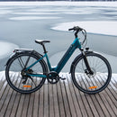 Fiido C11 Leichtes Urban E-Bike