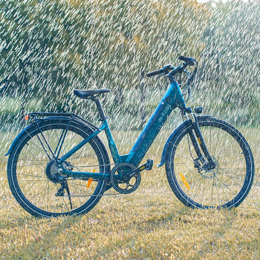 Fiido C11 - Leichtes Urban E Bike City E-Bike