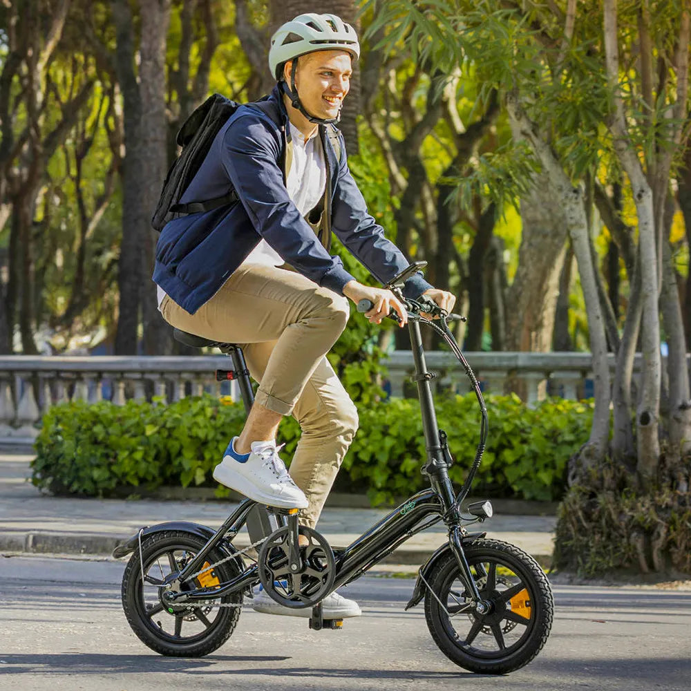 Fiido D3 Pro Mini E-Bike