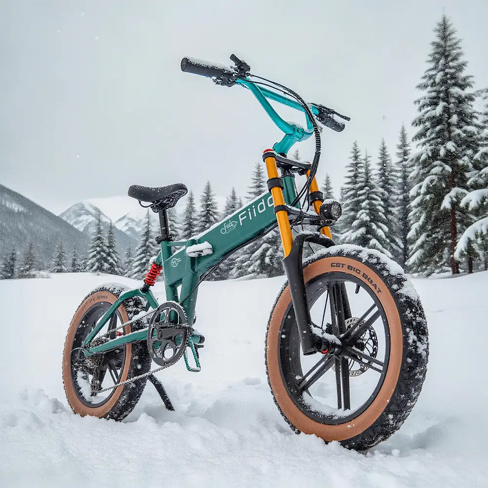 Fiido M1 Pro Fatbike E-Bike