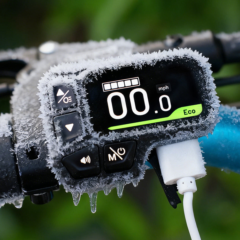 Fiido M1 Pro Fatbike E-Bike