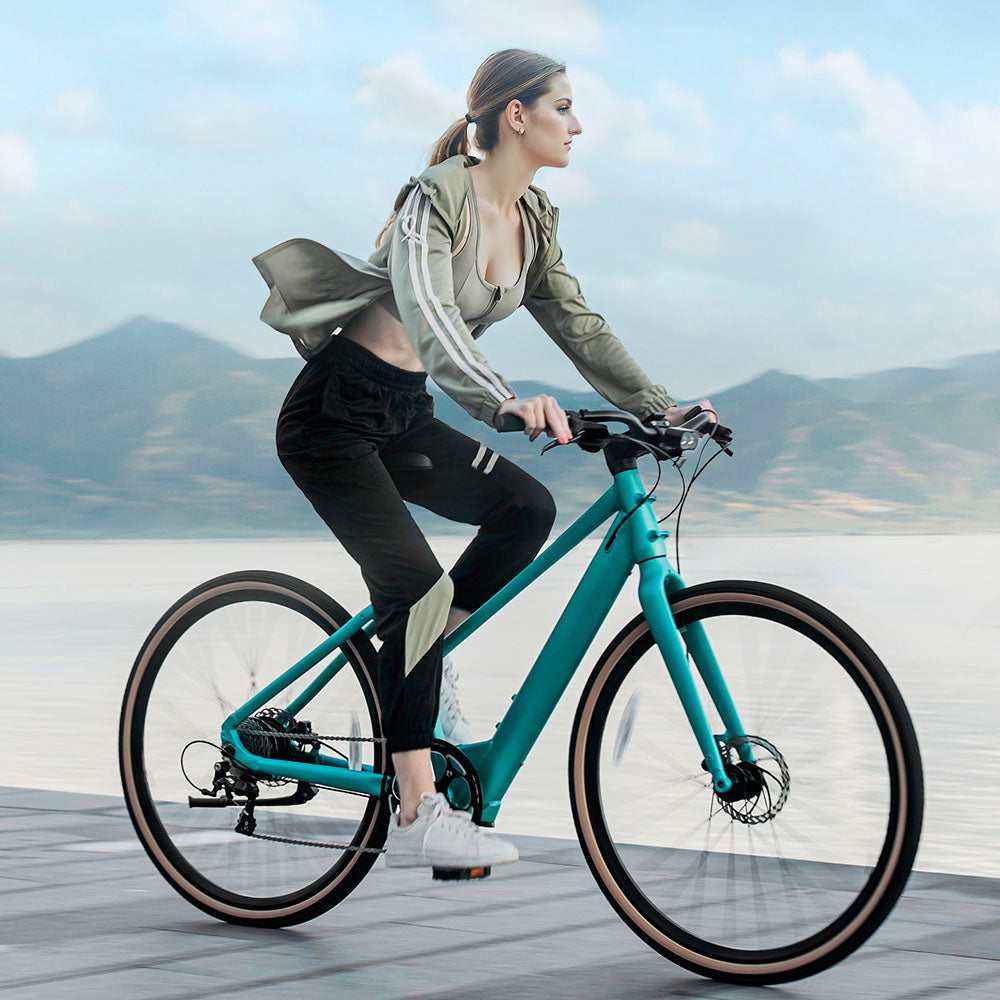 gravel bike für damen Fiido C22