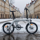 Fiido D11 Klapprad Urban E-Bike