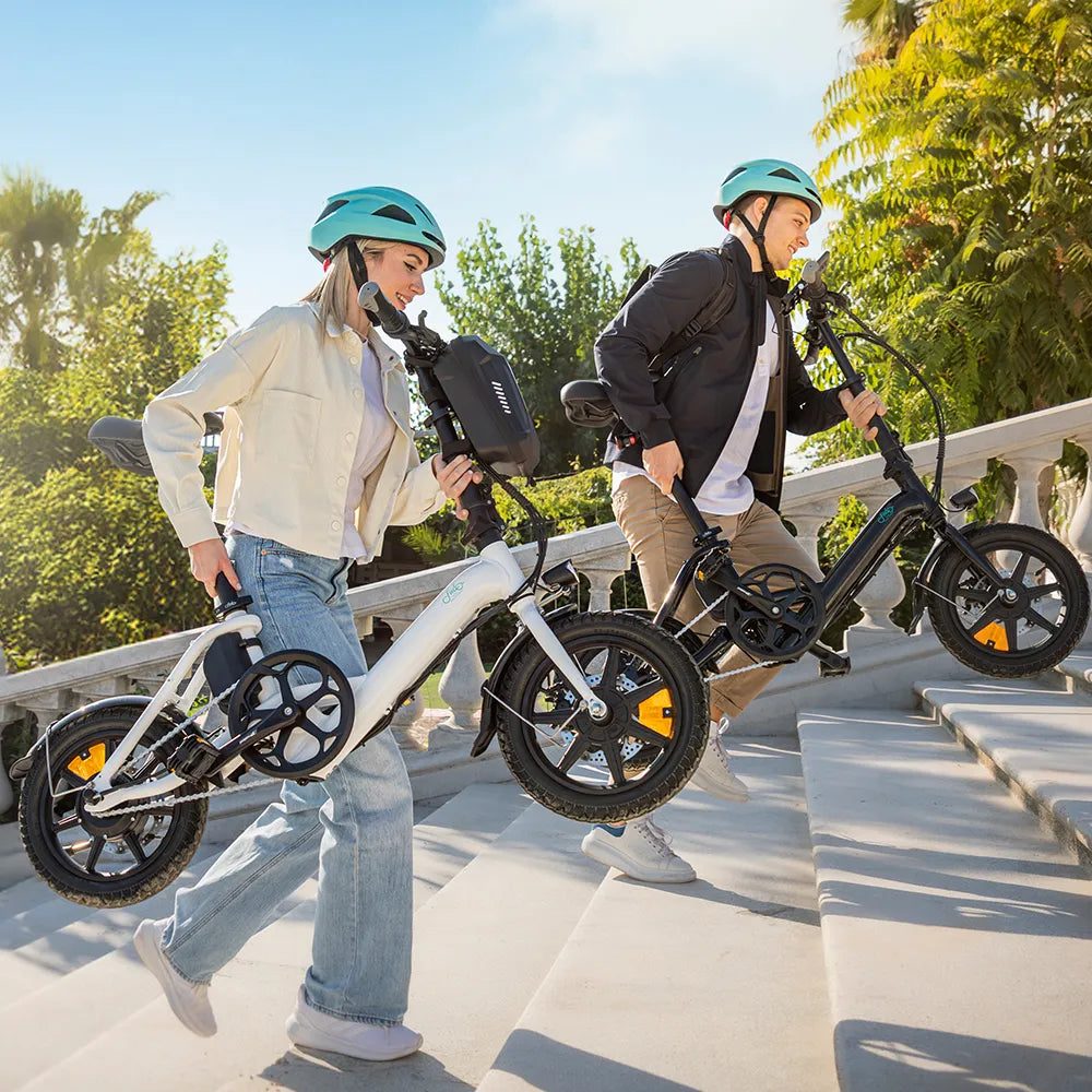 Fiido D3 Pro Mini E-Bike