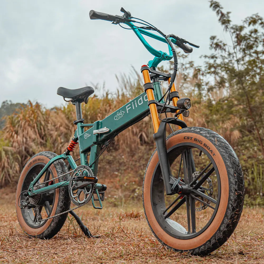 e fahrrad fatbike Fiido M1 Pro 2025