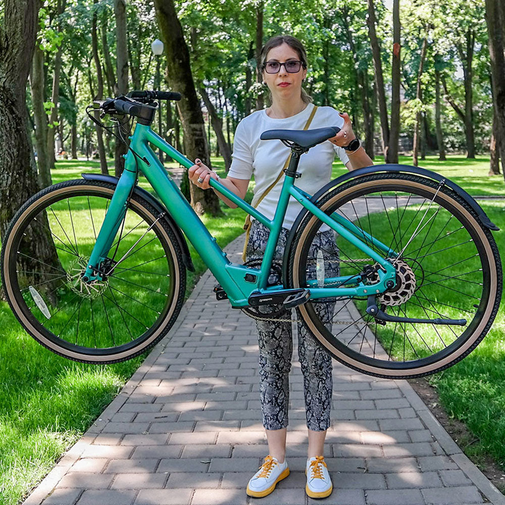 fiido e-gravel elektro-fahrrad Fiido C22