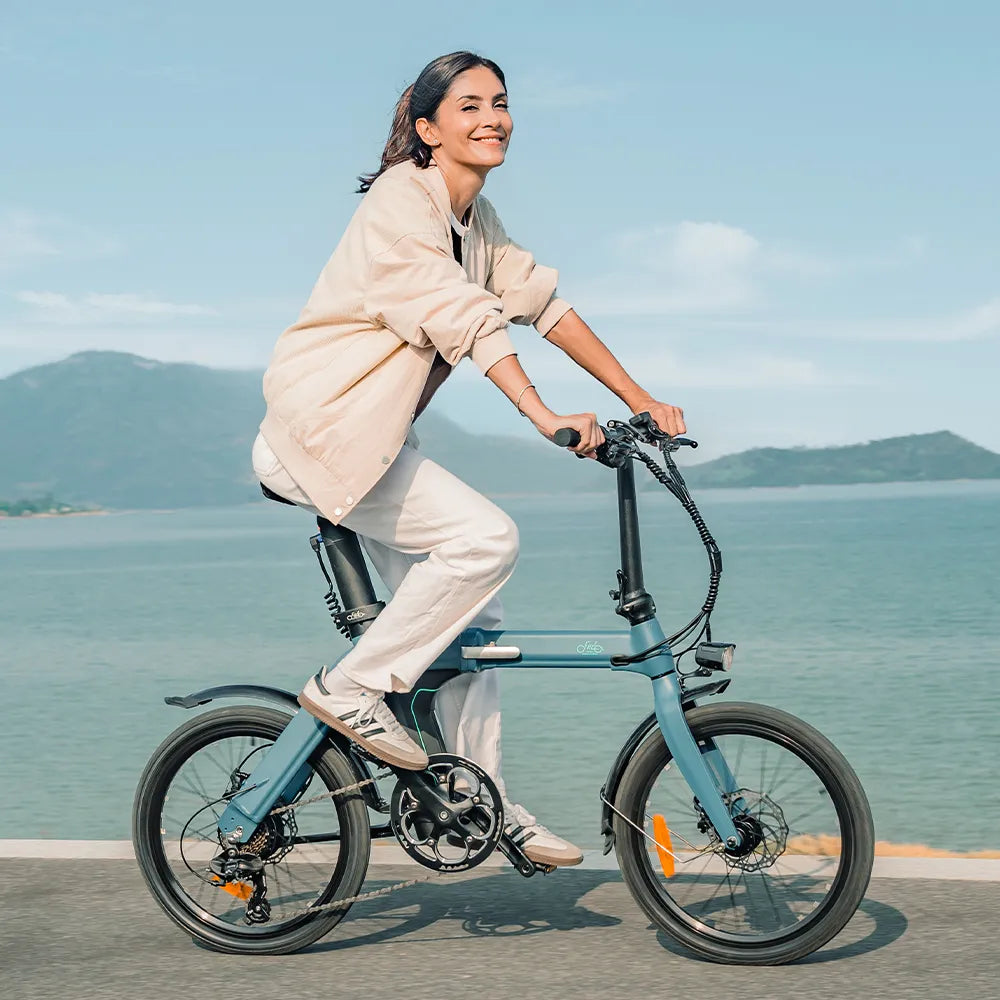 Fiido D11 Klapprad Urban E-Bike