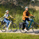 Fiido C11 Leichtes Urban E-Bike