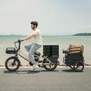 Fiido T3 Max Longtail-Lastenrad E-Bike