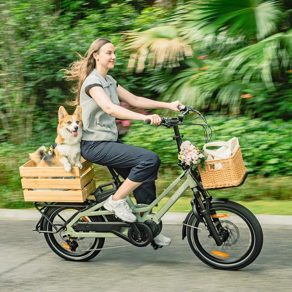 ebike lastenfahrrad Fiido T3 Urbanes Familien-Lastenrad E-Bike Size:S/M - 53-56cm Trek Full-Suspension Gravel Bike motorcycle gear