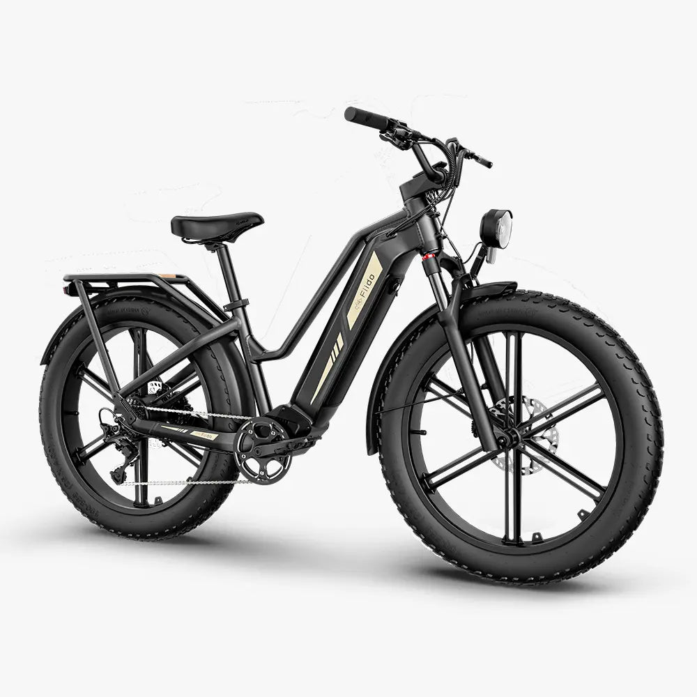 Titan Fat Tire Touring E-Bike - Lange Reichweite