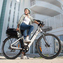 Fiido C11 Leichtes Urban E-Bike