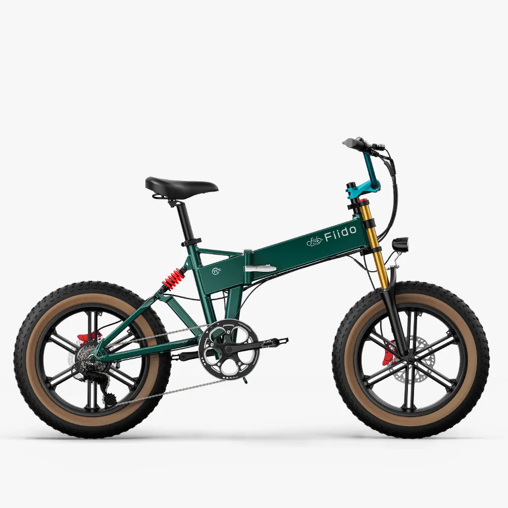 Fiido M1 Pro Fatbike E-Bike