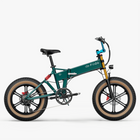 Fiido M1 Pro Fatbike E-Bike