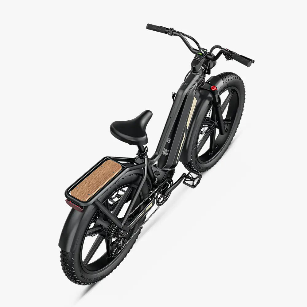 Fiido Titan – Offroad-Fatbike für Jagd und Touren