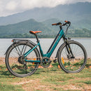 Fiido C11 Pro Leichtes Urban E-Bike
