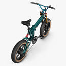 Fiido M1 Pro Fatbike E-Bike