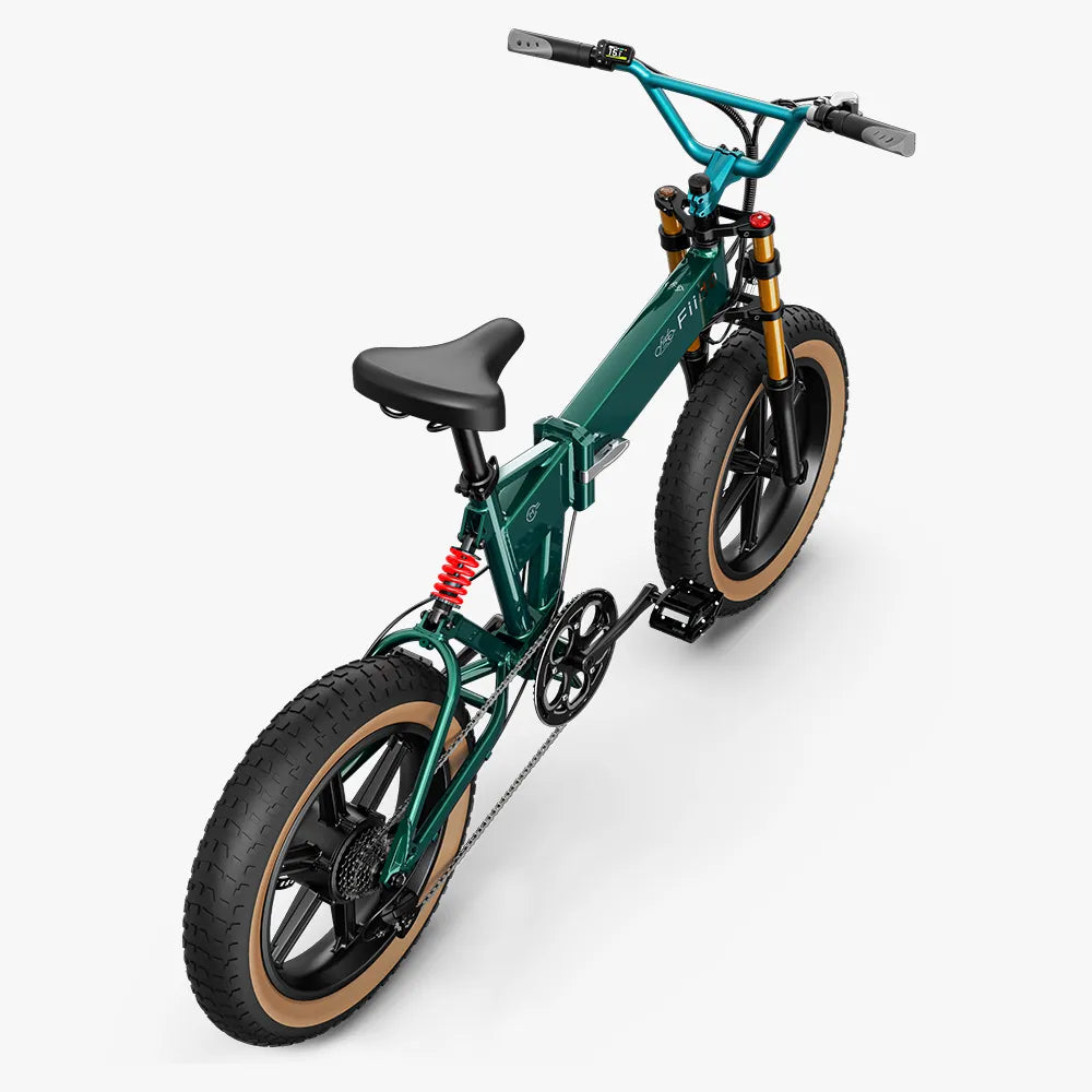 Fiido M1 Pro Fatbike E-Bike