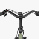 Fiido T3 Urban Family Cargo E-Bike
