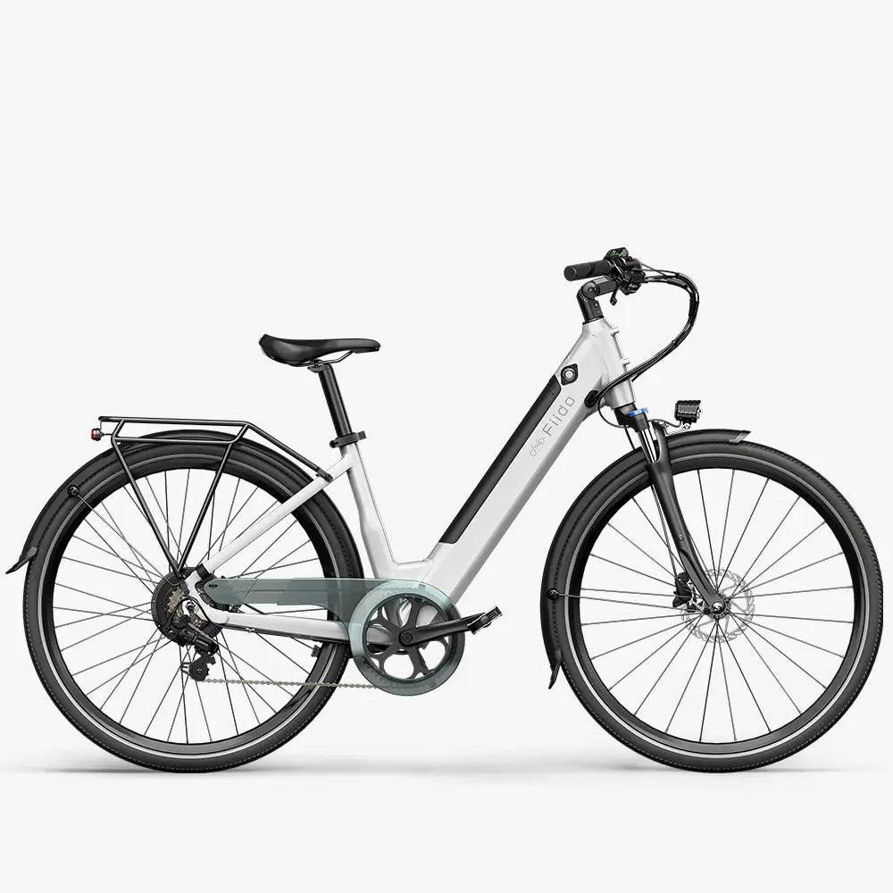 Fiido C11 Leichtes Urban E-Bike
