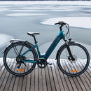 Fiido C11 Leichtes Urban E-Bike
