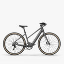 Fiido E-Gravel C22 E-Bike in Grau