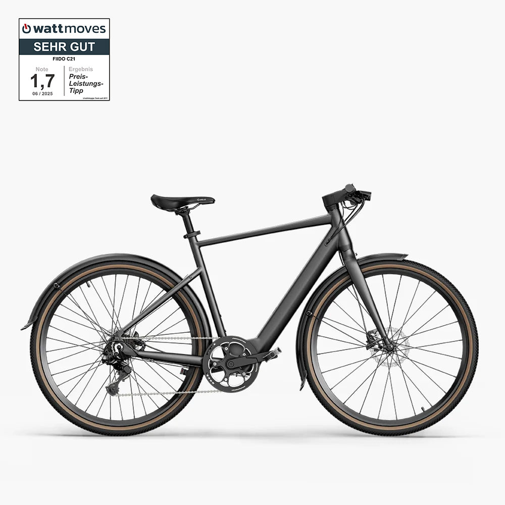 Fiido C21 – Leichtes Gravel-Tiefeinsteiger-Urban-E-Bike