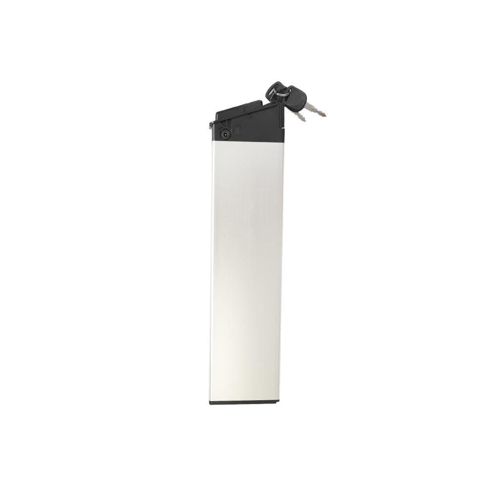 Fiido Zusätzliche Batterie für M1Pro/M21/M1