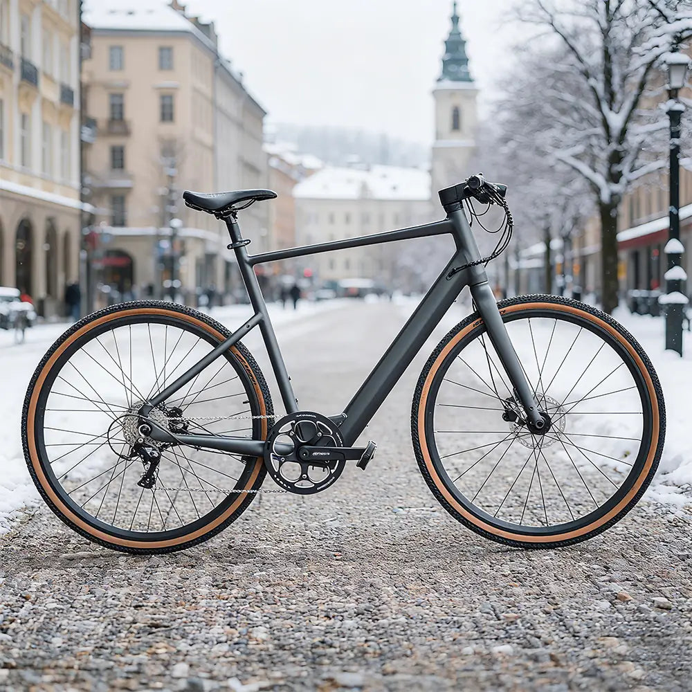 Fiido C21 E-Gravel & City E-Bike