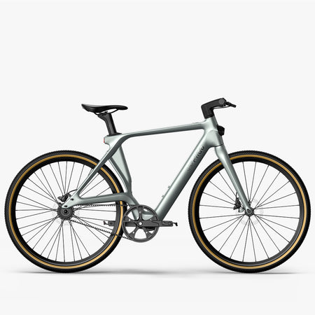 Fiido Air Leichtes Carbon E-Bike