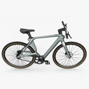 Fiido Air Ultraleichtes E-Bike aus Carbonfaser