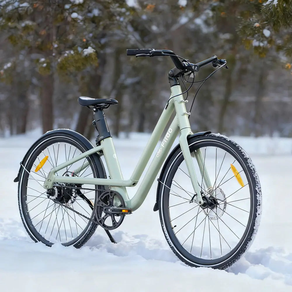Fiido C700 City E-Bike