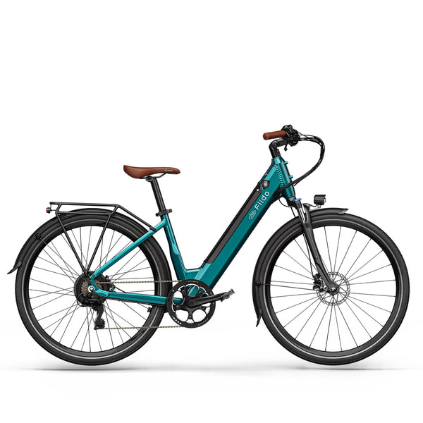 Fiido C11 Pro Leichtes Urban E-Bike