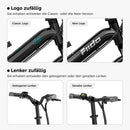 Fiido D3 Pro Mini E-Bike