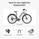 Fiido C11 Leichtes Urban E-Bike