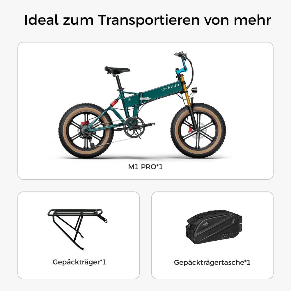 e bike mountainbike faltbar Fiido M1 Pro 2025