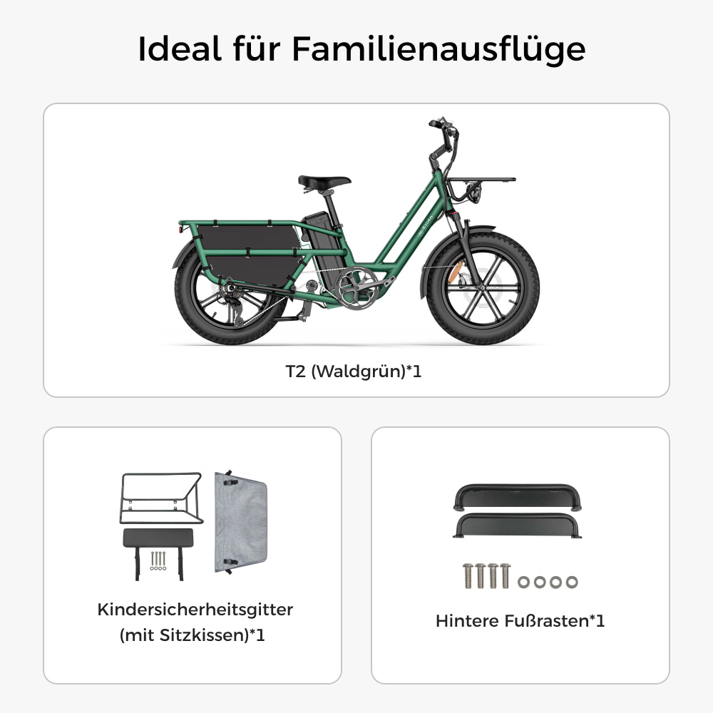 tuifly elektrofahrrad FIido T2