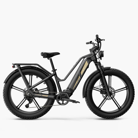 Fiido Titan robustes Lasten-E-Bike