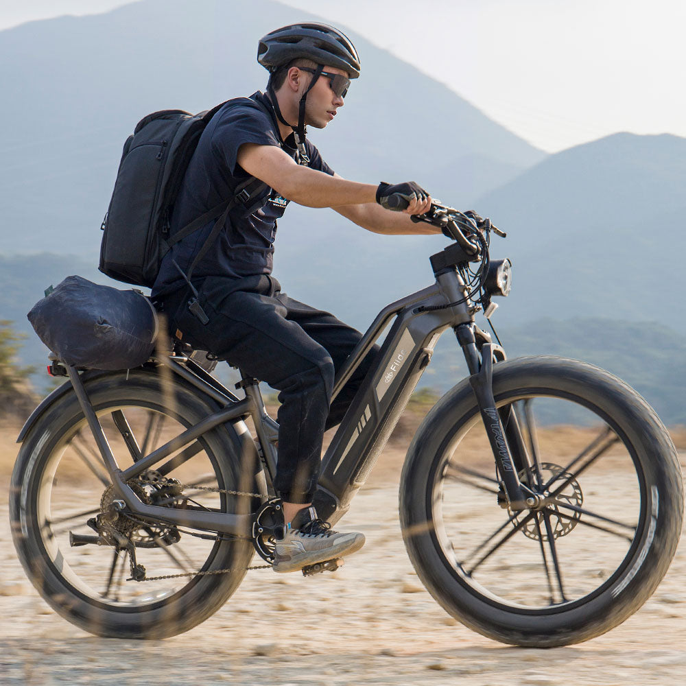 Mann fährt Fiido Titan robustes Lasten-E-Bike im Sand