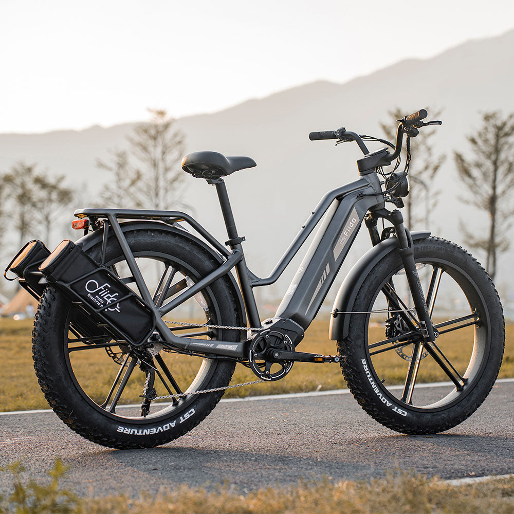 Fiido Titan robustes Lasten-E-Bike auf dem Grünweg