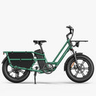 Fiido T2 Longtail Cargo E-Bike Grün