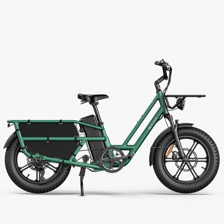 Fiido T2 Longtail Cargo E-Bike Grün