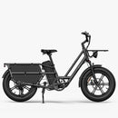 Fiido T2 Longtail Cargo E-Bike Schwarz